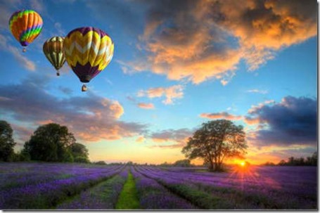 balloon-lavender-landscape-larg454545